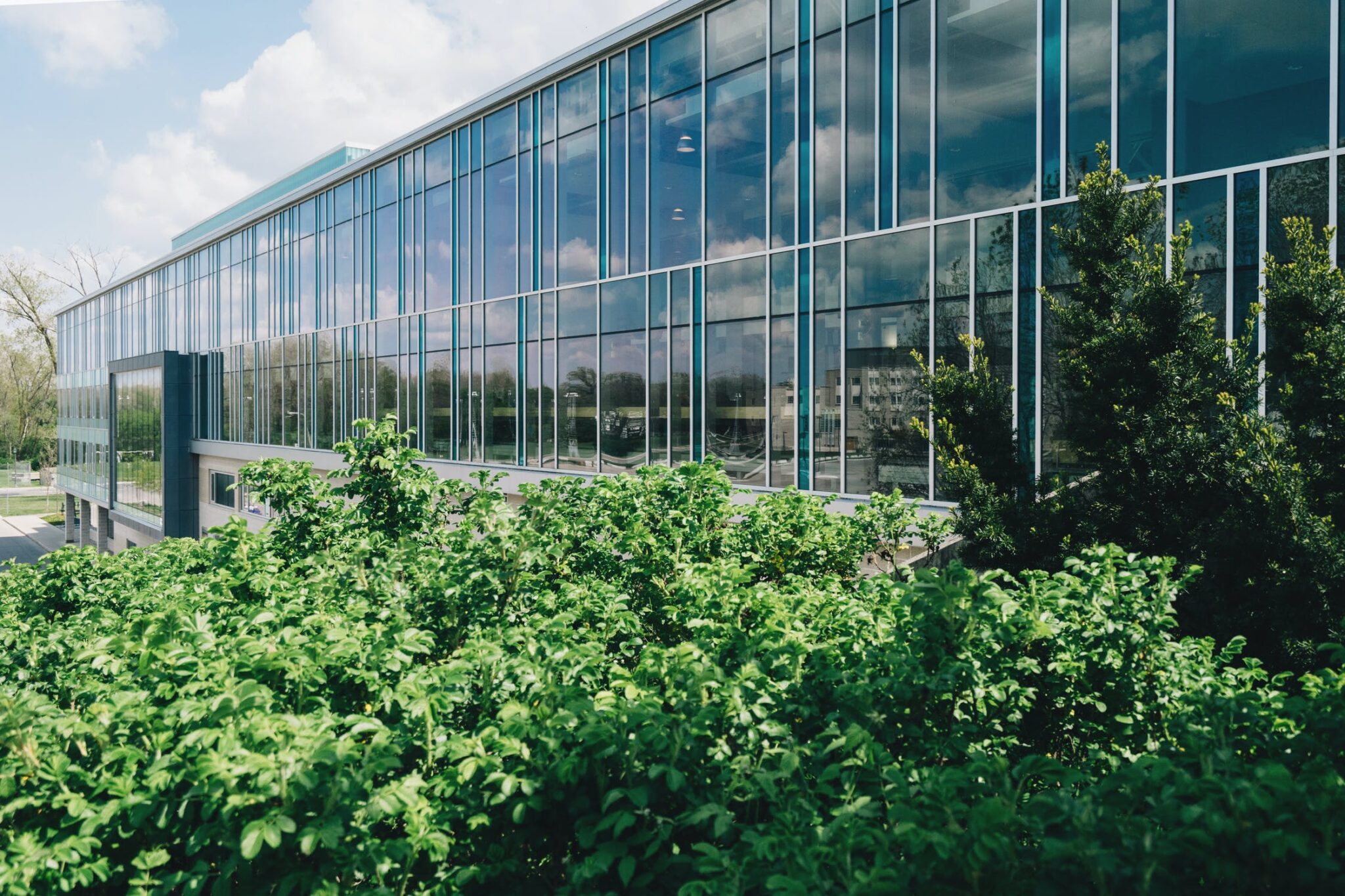 2021 Construction Trends Facilitated By Commercial Window Films - Commercial Window Film in Asheville, North Carolina
